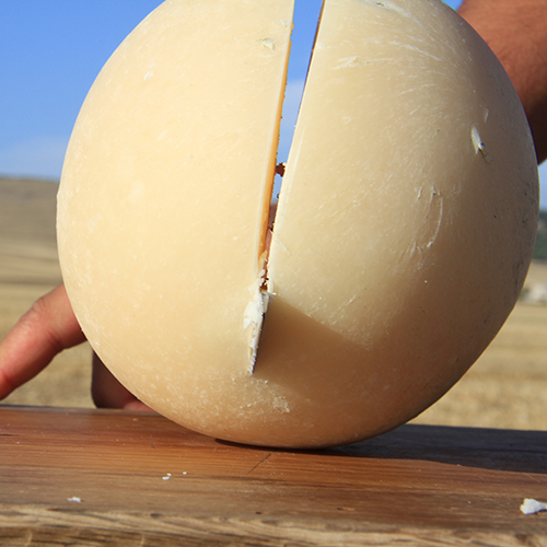 Pallone di Gravina